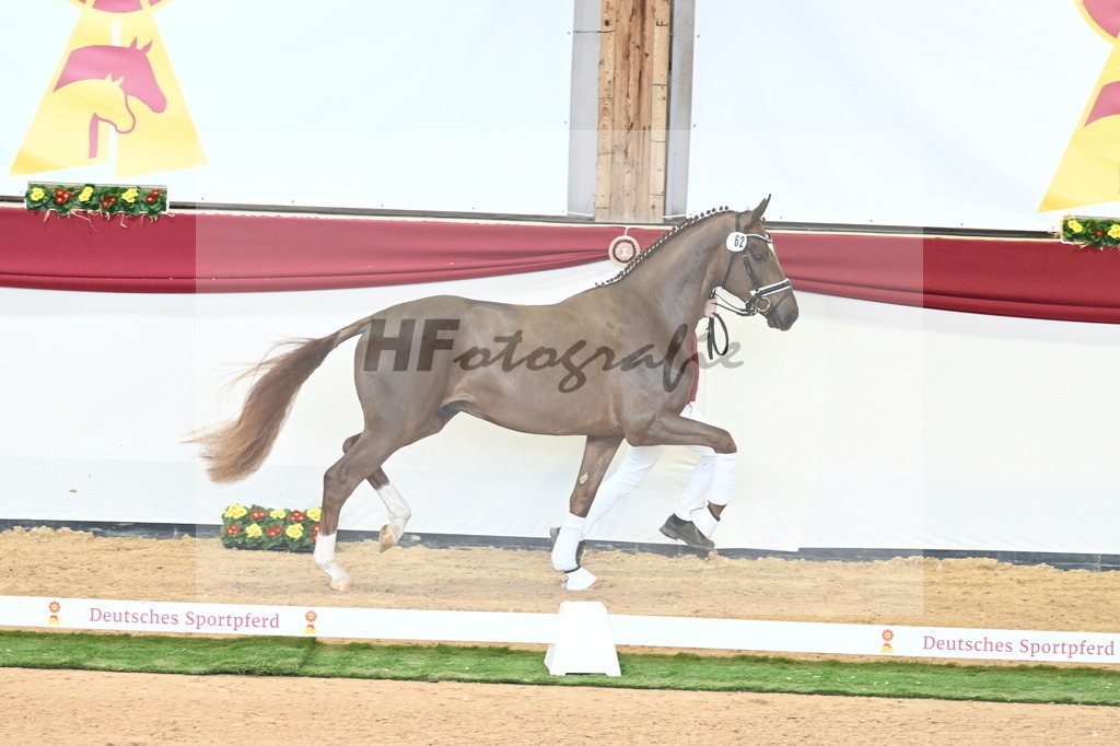Kat.-Nr. 62 v. Shu Fu_Fischer_2240924 | hf-fotografie - Realisiert mit Pictrs.com