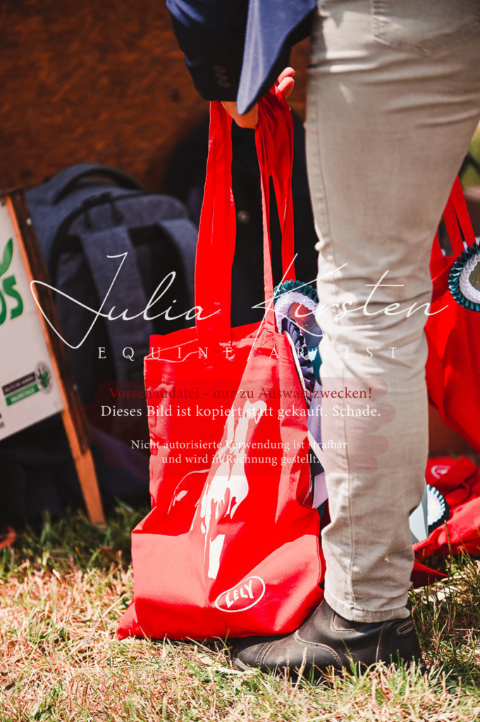 DSC_6395 | Pferde- und Turnierfotografie in Westsachsen. Pferdeportraits, Auftragszeichnungen und intuitive Kunst.