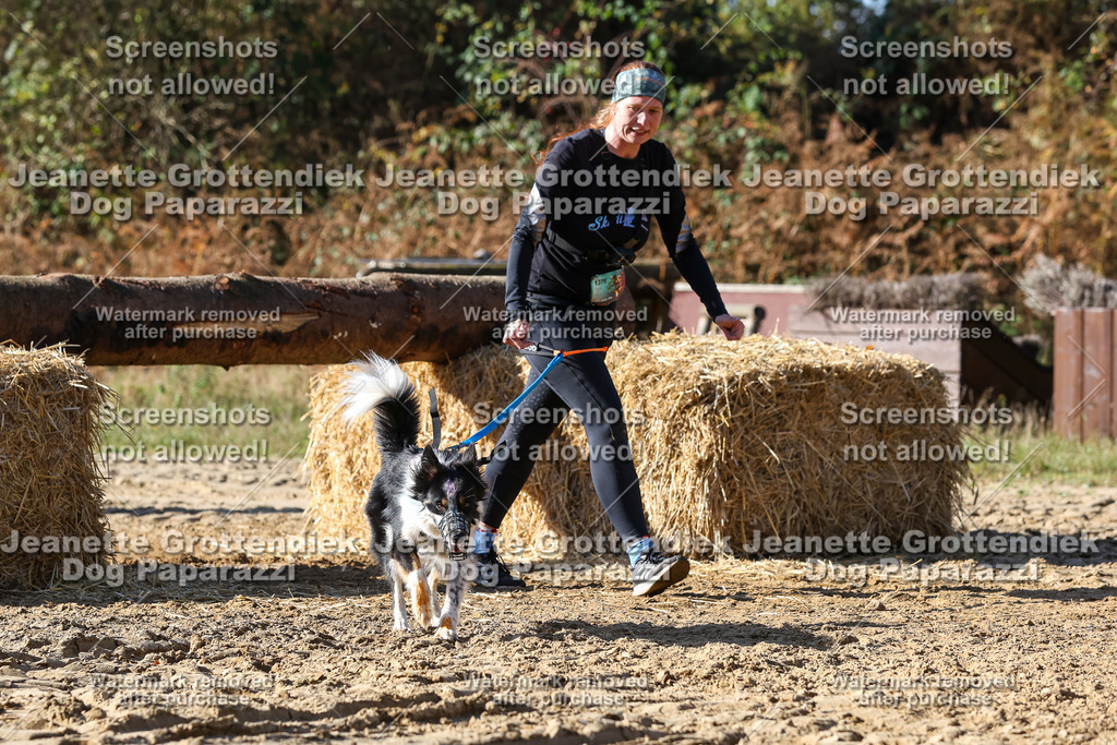 Dog Paparazzi - Strongdog 10-25-4757 | Dog Paparazzi Jeanette Grottendiek Fotografie & Videografie - Realisiert mit Pictrs.com