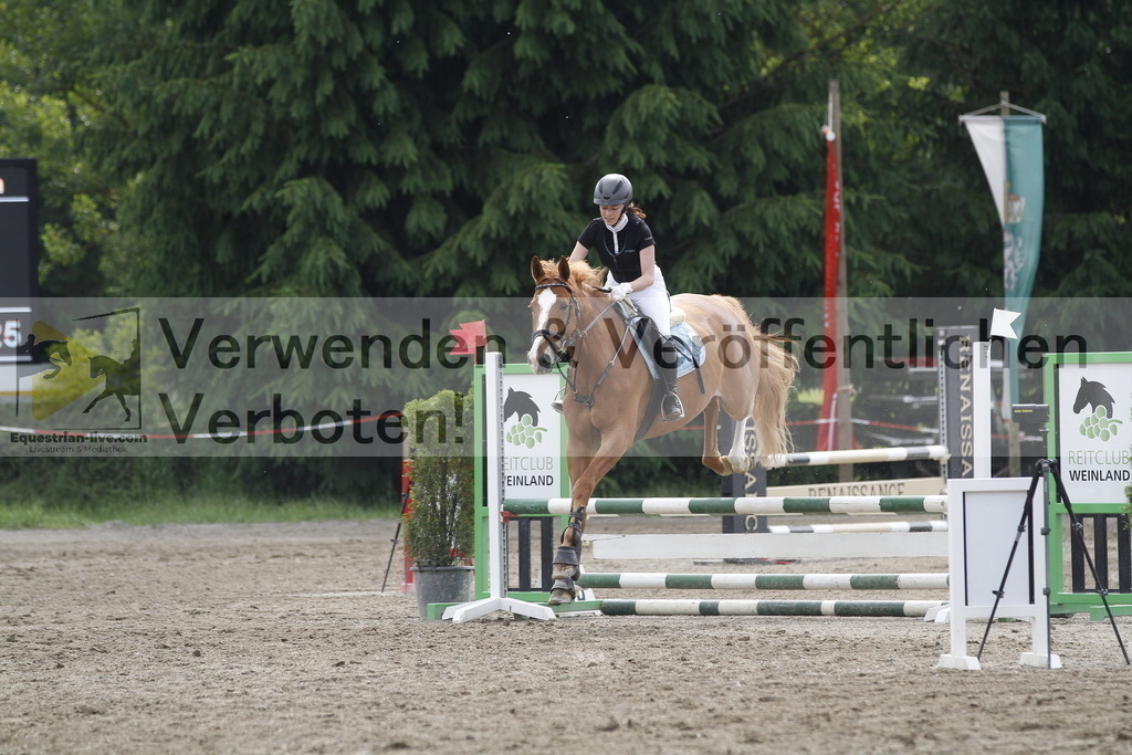 _MG_1015 | equestrian-live-com