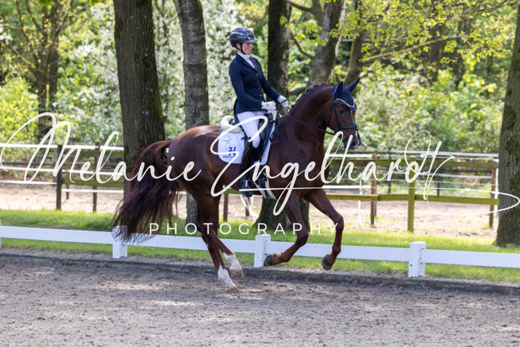 7I8A8740 | melanie-engelhardt-photography - Realisiert mit Pictrs.com