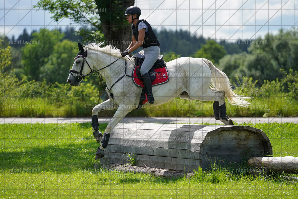 20240622-FAH07742 | Turnierfotografen Bayern, Reitsportbilder aus dem Geländekurs mit Felix Etzel auf dem Gut Waitzacker 2024
