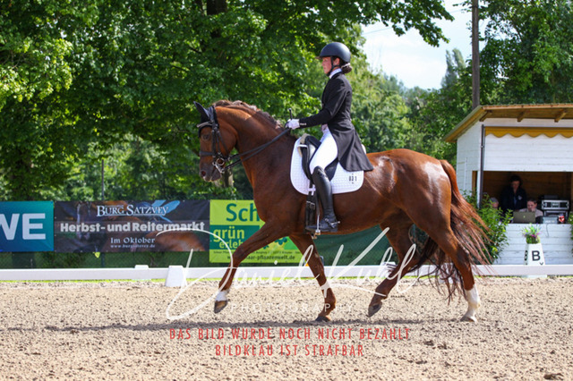 DKP41416 | Deine Turnierfotos vom Reitturnier online kaufen: Dressur, Springen & Siegerehrung. Professionelle Pferdefotografie aus dem Rheinland – als Download & Print.Alternative: Turnierfotograf für den Pferdesport: Finde deine Fotos von Dressur- und Springturnier