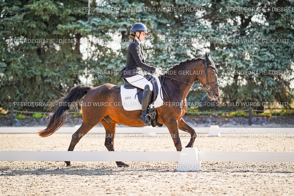 DSC00015 | Pferdegrafie