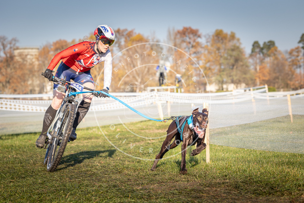 CaniXpix_0L8A4346 | Hundefotografie, Tierfotograf, Pfotenfotografie, Fotoshooting Hund, Hunde Portrait, Hundesport, Hundeportraits, Heideshooting, Hunde, Sportfotograf, Hundefotograf, Turnierhundsport, THS,  - Realisiert mit Pictrs.com