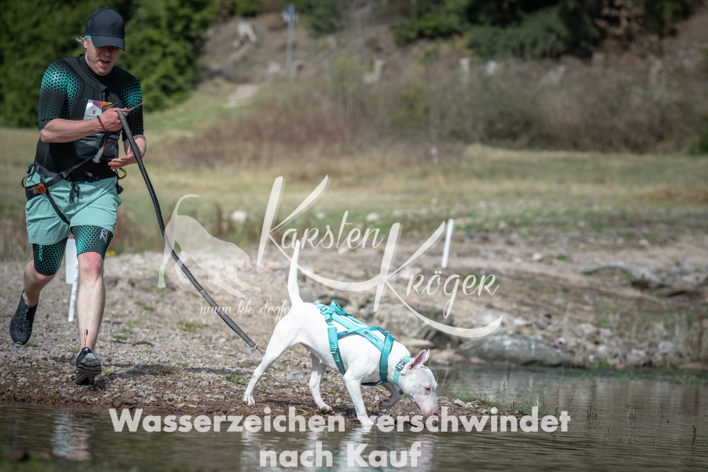 1103_ZZ92894 | kk-dogfotos