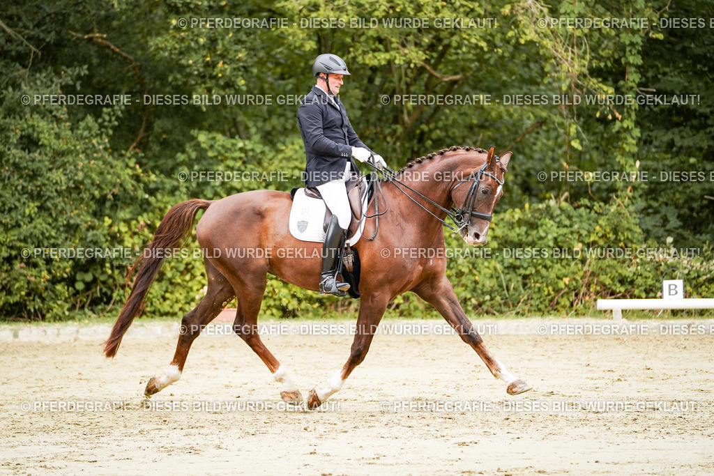 DSC03692 | Pferdegrafie