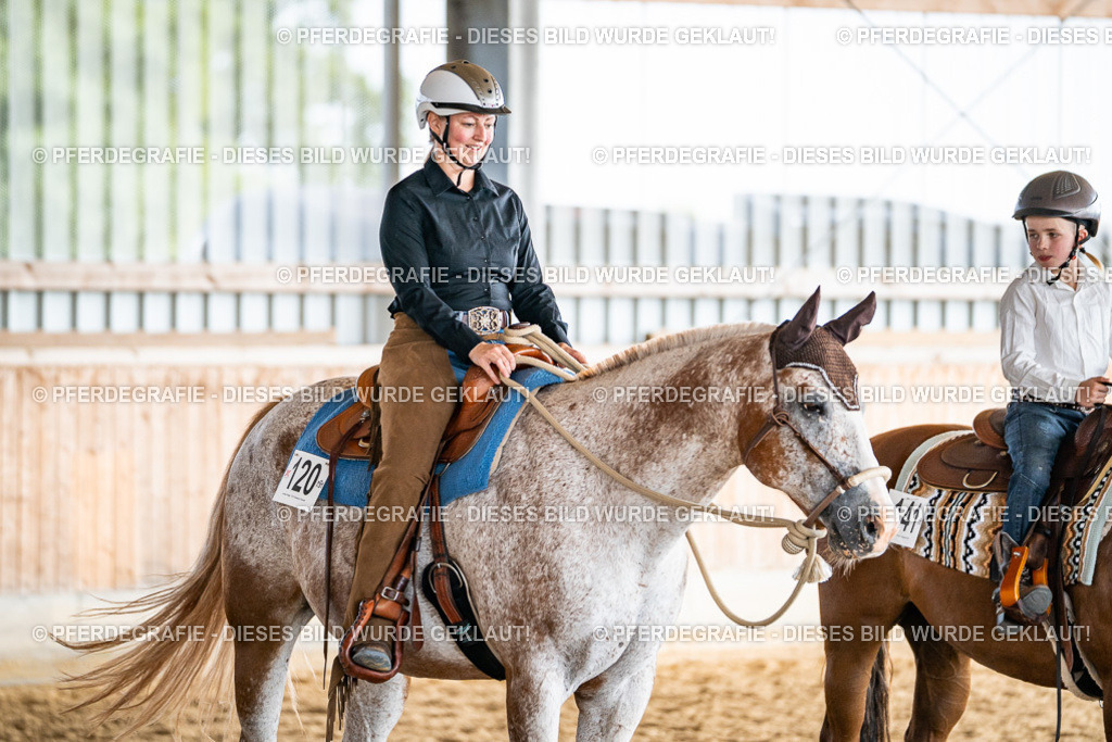 DSC08684 | Pferdegrafie