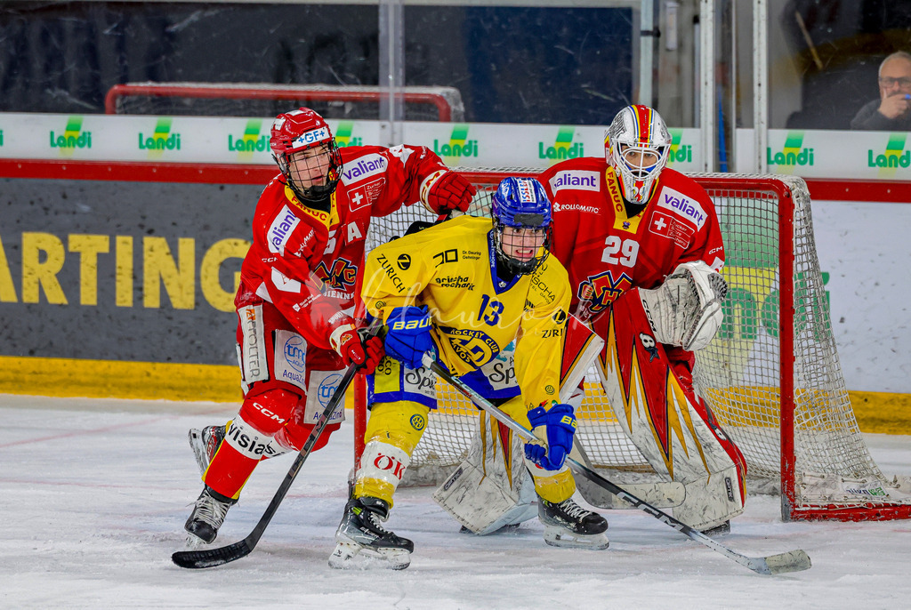 EHCB vs HCD-0793 | Sportbilder, Sportfotograf, Hochzeits- und Eventfotografin, Flugshows, Portraits und Tiershooting, Aviation, Downhill, Nationalleague, Swissleague, International