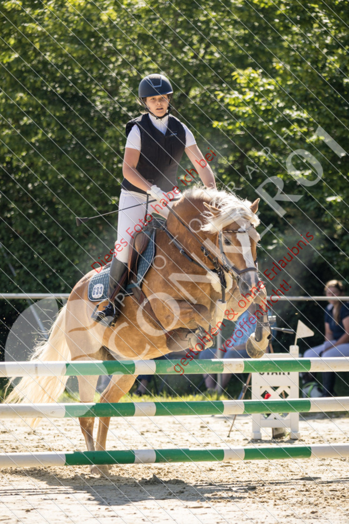 IMG_3051 | Sport-, Event- und Tierfotos in Profiqualität. Einfach auswählen, bestellen und herunterladen. Dein Moment – perfekt festgehalten.