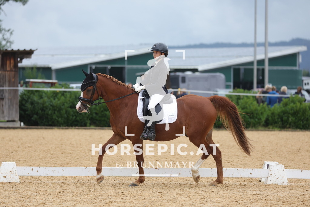 0P6A1499 | Willkommen bei Brunnmayr - Design & Fotografie – Ihrem Spezialisten für Reitturniere und Pferdeveranstaltungen in Oberösterreich, Salzburg und Bayern! Seit über 17 Jahren sind wir leidenschaftlich dabei.