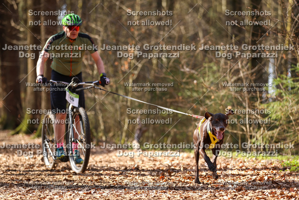 Dog Paparazzi - VCC26-1257 | Dog Paparazzi Jeanette Grottendiek Fotografie & Videografie - Realisiert mit Pictrs.com