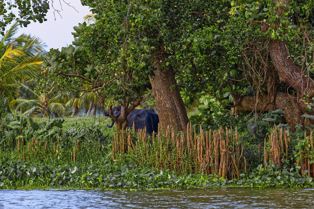 1H5A0781 | ansichtssache