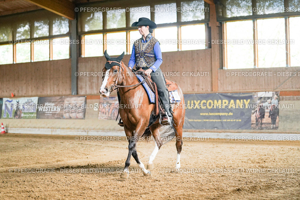 DSC05618 | Pferdegrafie