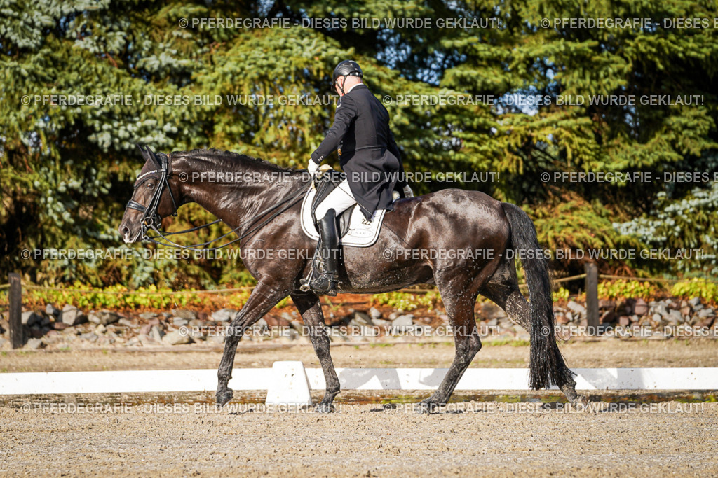 DSC00867 | Pferdegrafie