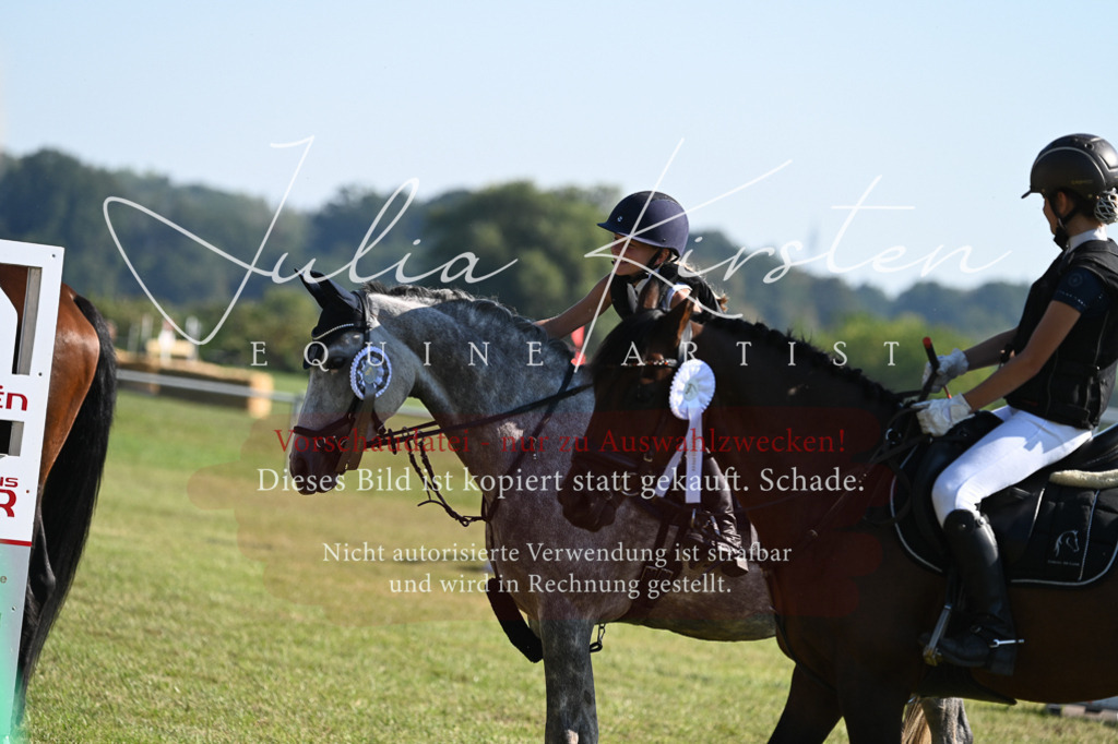 DSC_5368 | Pferde- und Turnierfotografie in Westsachsen. Pferdeportraits, Auftragszeichnungen und intuitive Kunst.