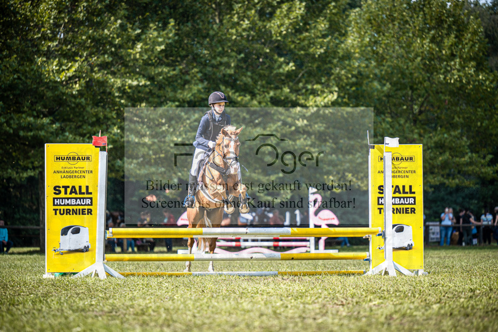 Z63_0134 | Entdecke hochwertige Reitturnierfotos von Foto Oger. Professionell, emotional und authentisch – jetzt Lieblingsmomente im Shop bestellen.Deutschlandweite Turnierfotografie. - Realisiert mit Pictrs.com