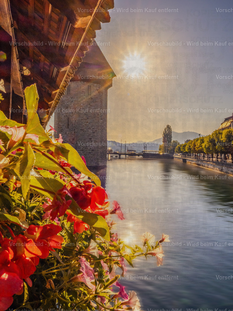 Kapellbrücke Luzern im Sommerlicht | Sommerliche Ansicht der Kapellbrücke in Luzern mit blühenden Blumen - Realisiert mit Pictrs.com