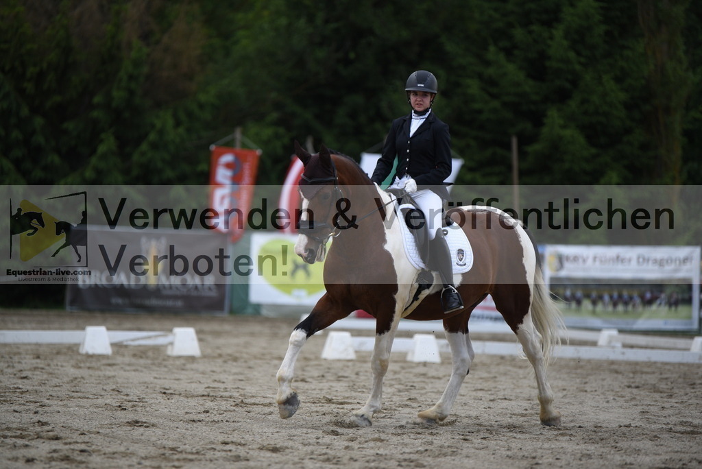 DSC_6513 | equestrian-live-com