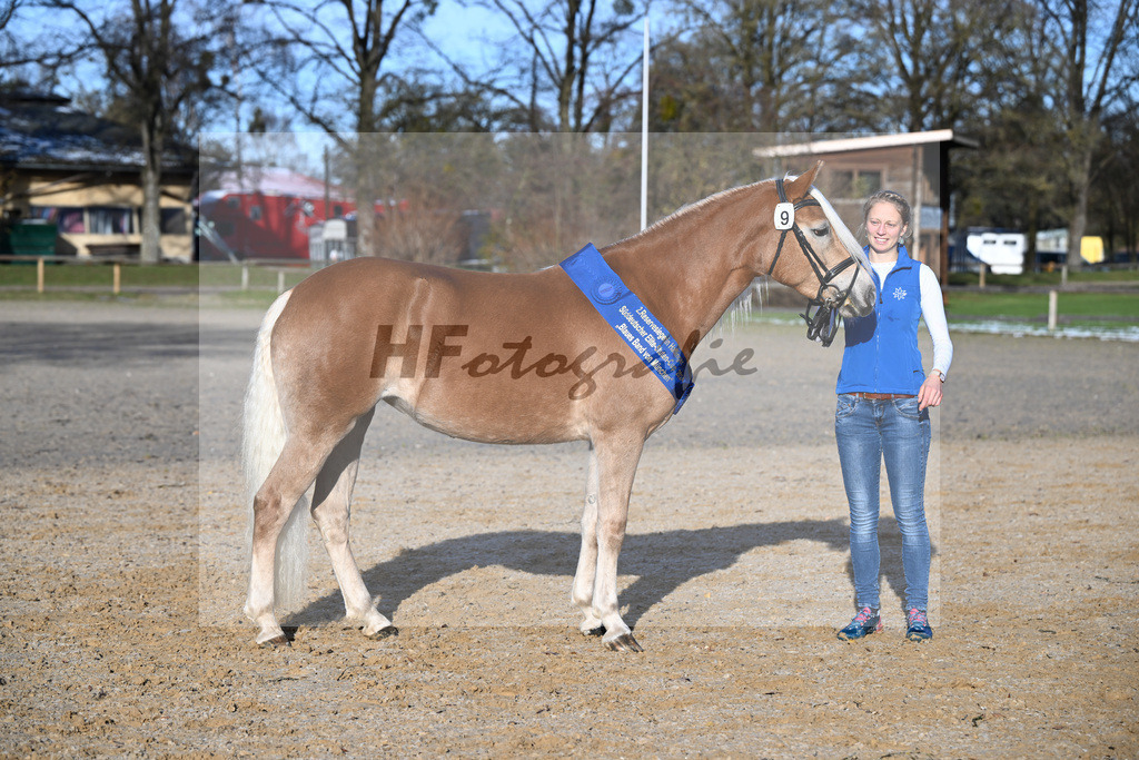 Bl. Band Kat-Nr. 9 Jalia v. Bon Jovi_Mueller_48241395 | hf-fotografie - Realisiert mit Pictrs.com