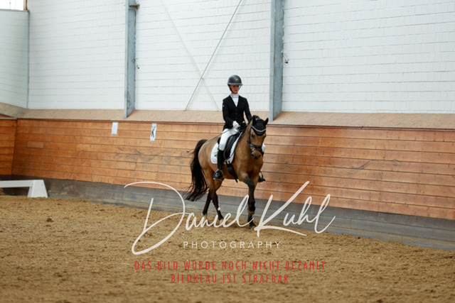 _62_4673 | Turniersportfotografie; Pferdefotografie; Dressurfotografie