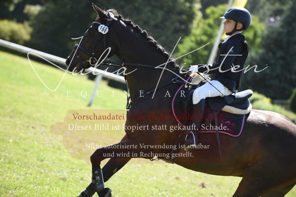 DSC_9363 | Pferde- und Turnierfotografie in Westsachsen. Pferdeportraits, Auftragszeichnungen und intuitive Kunst.