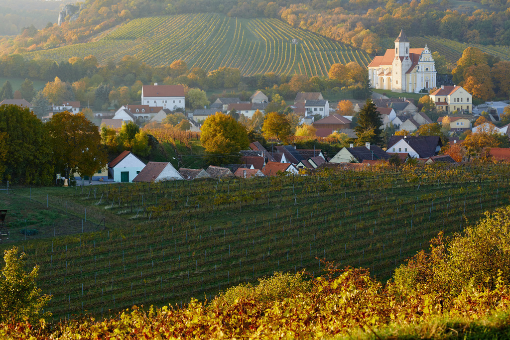 Blick auf die Jakobskirche | Falkenstein, Austria - October 24, 2015: Blick auf die Jakobskirche und die Kellergasse im Herbst. - Realisiert mit Pictrs.com