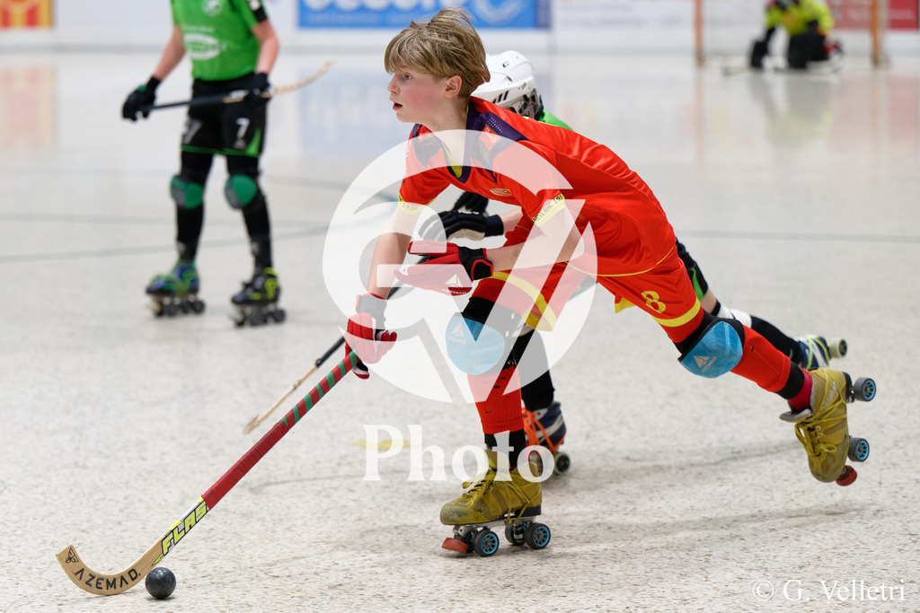 DSC_7063 | Velletri Photo