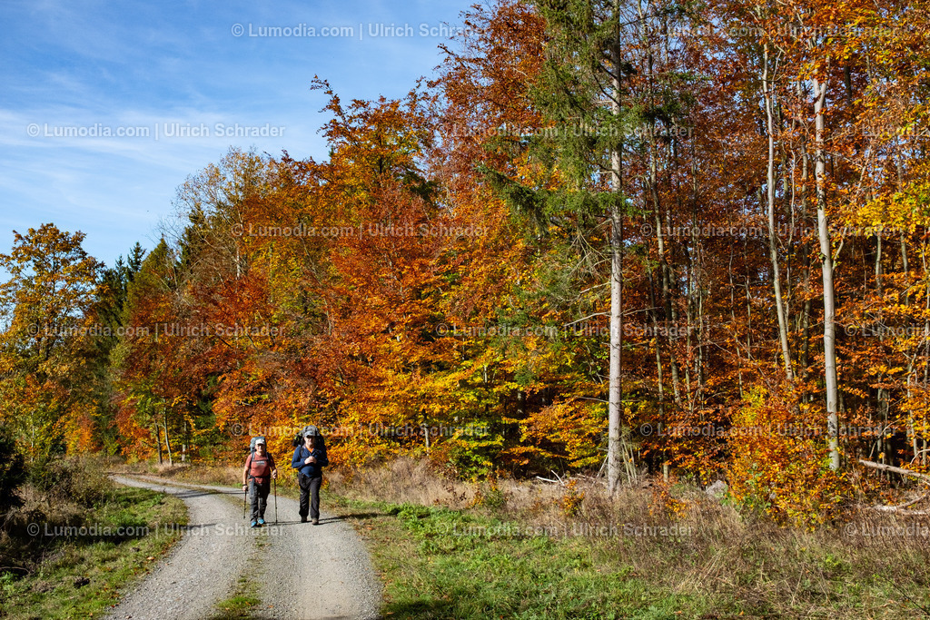 10049-13624 - Herbstwanderung im Harz | Stockfoto und Bilderpool mit Bildmaterial aus Deutschland, dem Harz, Halberstadt, Quedlinburg, Wernigerode und weltweit. Qualitativ hochwertige und professionelle Fotos anschauen und kaufen. - Realisiert mit Pictrs.com