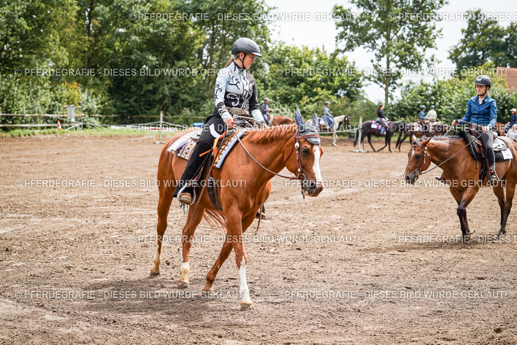 DSC05831 | Pferdegrafie