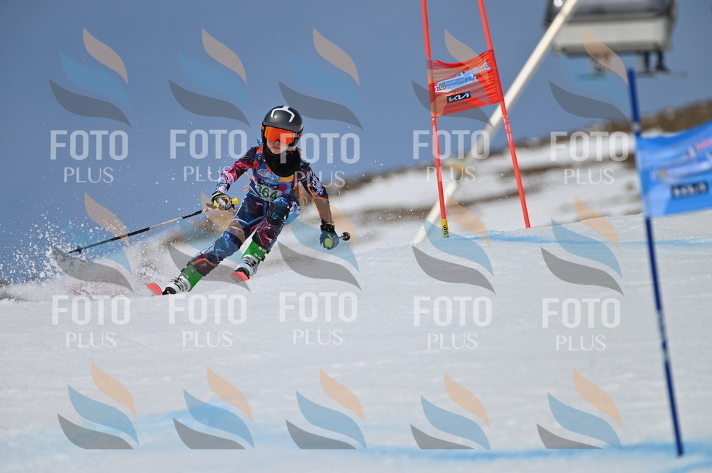 BGV_7181 | holidayphoto