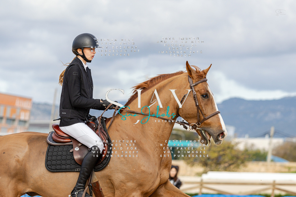 IMG_2931 | s-jay-photography - Realisiert mit Pictrs.com