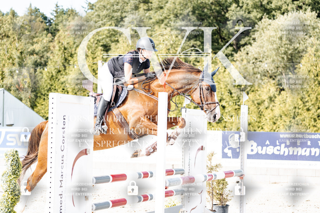 CK905726 | Turnierfotografie Pferdefotografie Trier Rheinland-Pfalz Pferdesport Reitsport Tierfotografie Sportfotografie Pferdevideo Pferdevideografie Equestrianvideography equestrianphotography  - Realisiert mit Pictrs.com
