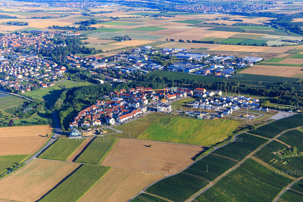 Luftbild: Schloßbergallee aus Südosten in Bönnigheim im Bundesland Baden-Württemberg in Deutschland. Foto: IMG_093811.jpg vom 23.08.2016 durch Werner Riehm/FLY-FOTO.de
