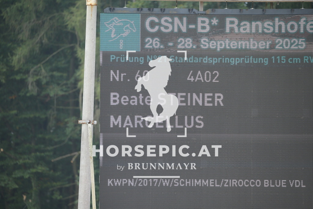 DL2Q3994 | Willkommen bei Brunnmayr - Design & Fotografie – Ihrem Spezialisten für Reitturniere und Pferdeveranstaltungen in Oberösterreich, Salzburg und Bayern! Seit über 17 Jahren sind wir leidenschaftlich dabei.