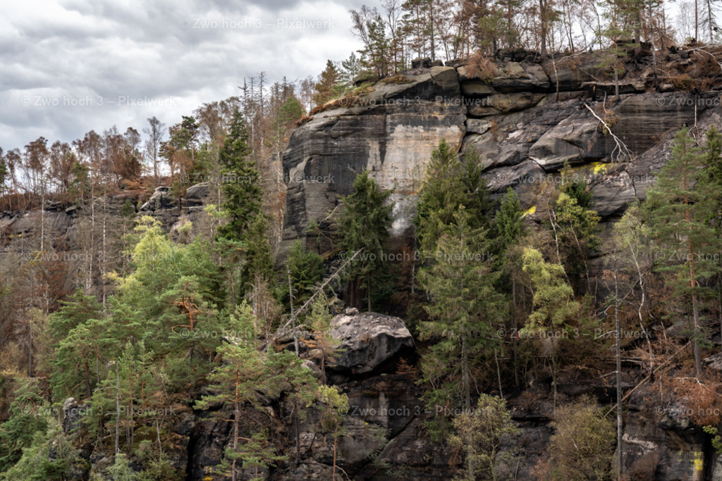 Frienstein_Idagrotte_Obere_Affensteinpromenade_Nadelbaum | 2022-09-02_Waldbrandgebiete_2 - Realisiert mit Pictrs.com