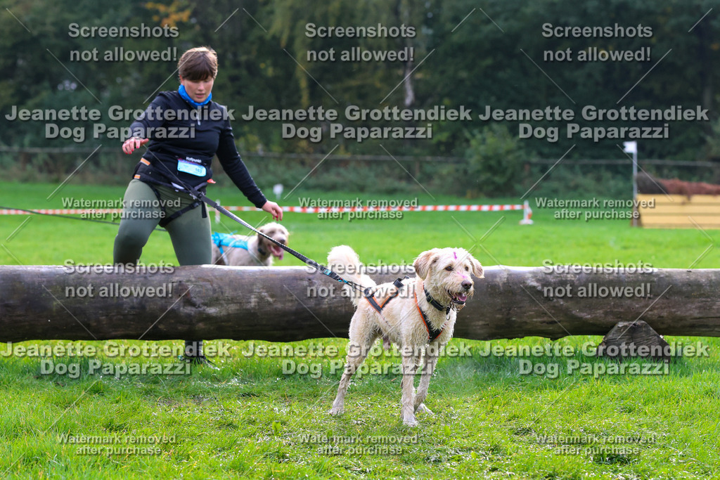 Dog Paparazzi -  SD1026-1956 | Dog Paparazzi Jeanette Grottendiek Fotografie & Videografie - Realisiert mit Pictrs.com