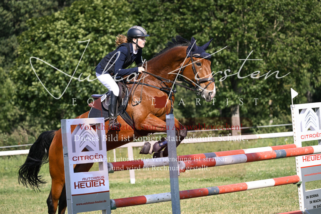 DSC_1322 | Pferde- und Turnierfotografie in Westsachsen. Pferdeportraits, Auftragszeichnungen und intuitive Kunst.