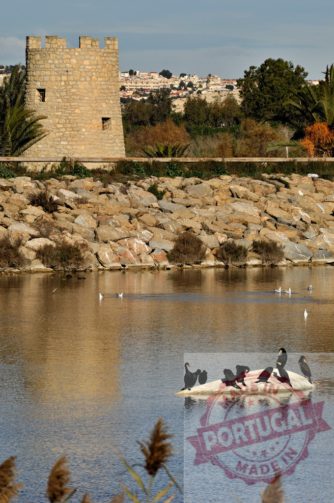 Cormorants resting on rock in lake near ancient tower | Cormorants resting on a rock in a small lake with an old stone tower in the background - Realisiert mit Pictrs.com