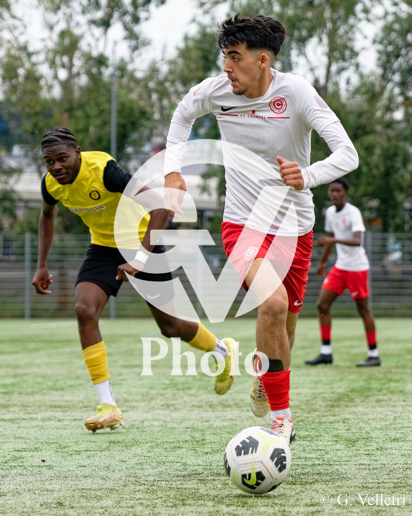 DSC_9078 | Velletri Photo