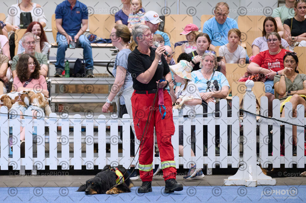 202406_ÖKV-IHA-Tulln24_DSC_3465 | proPHOTO - Realisiert mit Pictrs.com