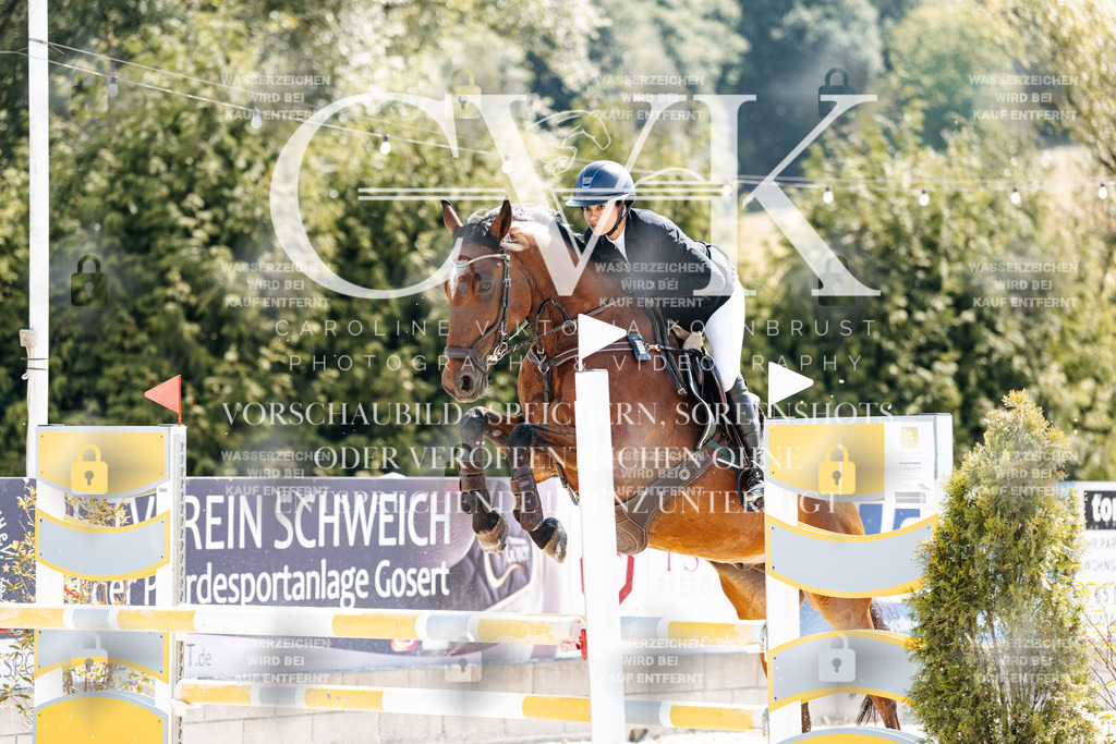 CK908739 | Turnierfotografie Pferdefotografie Trier Rheinland-Pfalz Pferdesport Reitsport Tierfotografie Sportfotografie Pferdevideo Pferdevideografie Equestrianvideography equestrianphotography  - Realisiert mit Pictrs.com