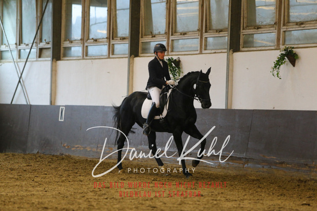 IMG_7595 | Turniersportfotografie; Pferdefotografie; Dressurfotografie