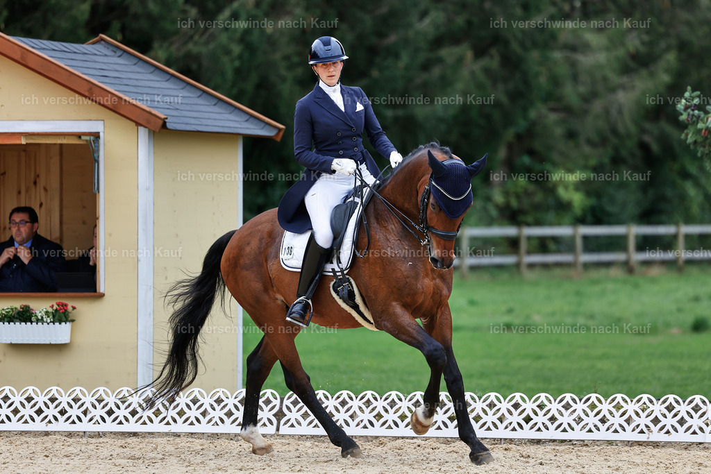 11-036-Dressur S___-StoibPH-1424 | working equitationturnier fotograf videograf stoibphotography marixx film working equitation deutschland reitsport turnierfotografie eventfotografie equestrian events