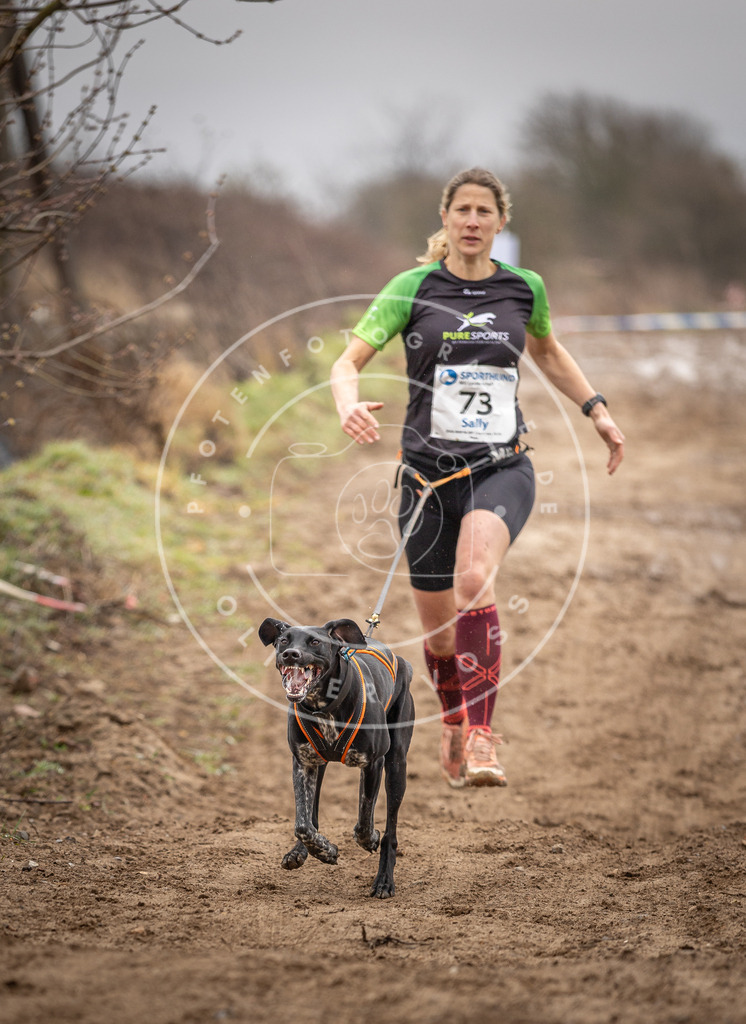 DV3A9689 | Hundefotografie, Tierfotograf, Pfotenfotografie, Fotoshooting Hund, Hunde Portrait, Hundesport, Hundeportraits, Heideshooting, Hunde, Sportfotograf, Hundefotograf, Turnierhundsport, THS,  - Realisiert mit Pictrs.com