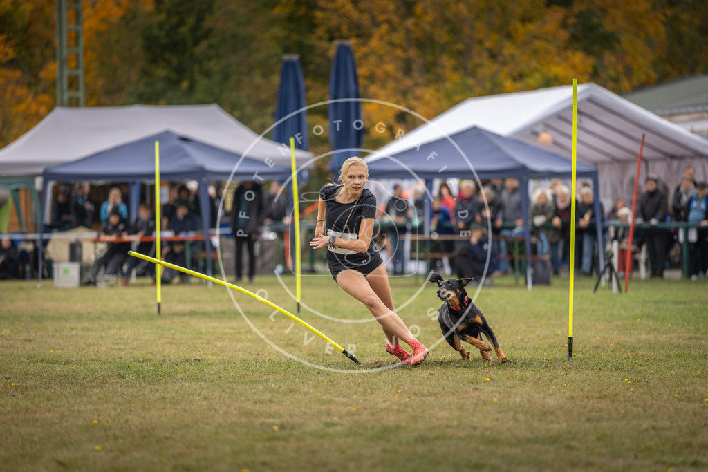 Pfotenfotografie_DV3A7710 | Hundefotografie, Tierfotograf, Pfotenfotografie, Fotoshooting Hund, Hunde Portrait, Hundesport, Hundeportraits, Heideshooting, Hunde, Sportfotograf, Hundefotograf, Turnierhundsport, THS,  - Realisiert mit Pictrs.com