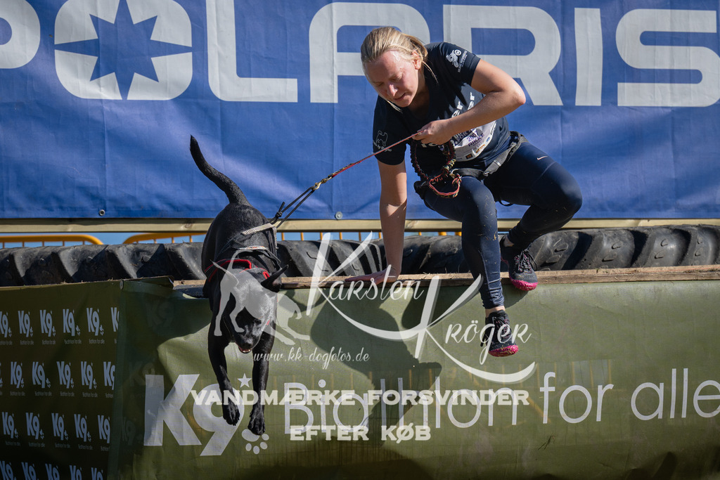 1029_ZZ98740 | kk-dogfotos