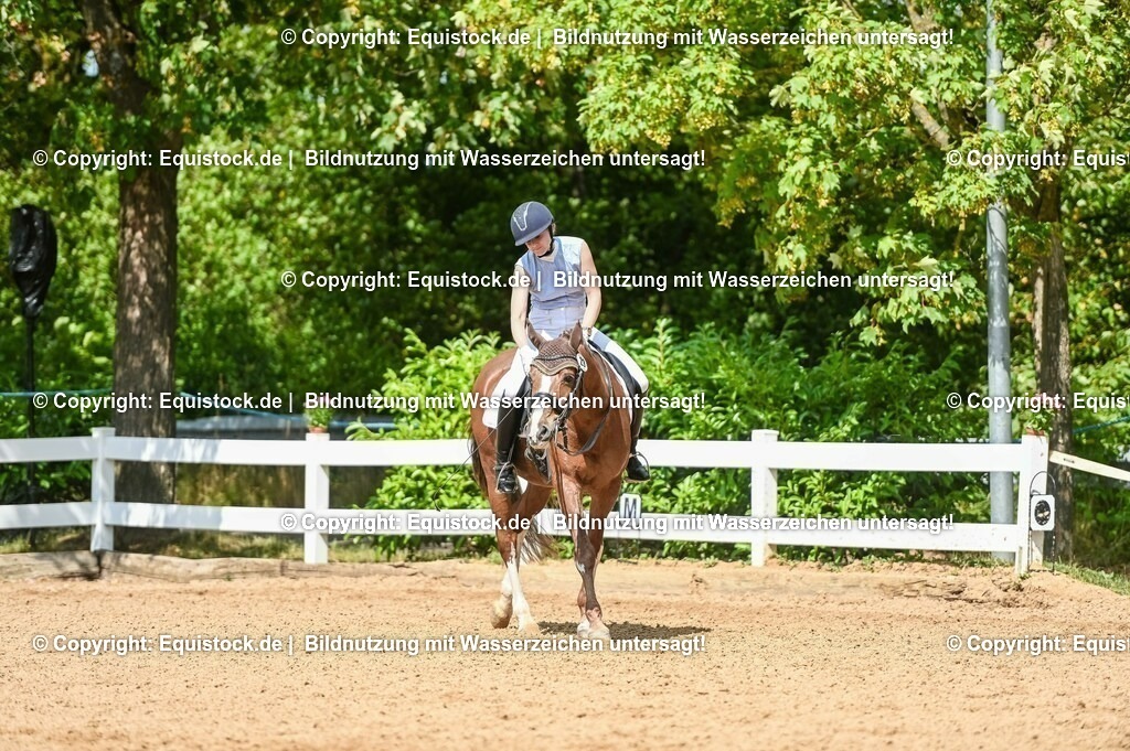 20230716_01_Dressurprüfung Kl.M_0272 | equistock