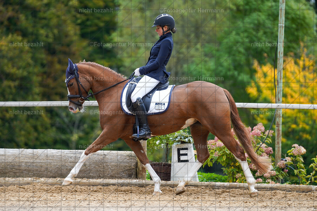 20221008-FAH01491 | Diessen am Ammersee, 2022, Dressur- und Springturnier, Reitsportbilder, Turnierfotografen Bayern, Pferdefotografen, Fotoagentur Herrmann, Turnierbilder