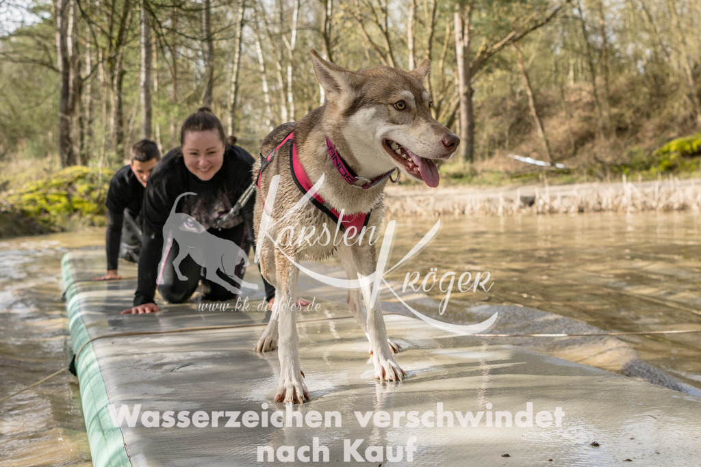 1004_ZZ92453 | kk-dogfotos